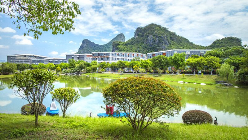 电子模块与芯片：揭秘它们之间的差异与总结方法