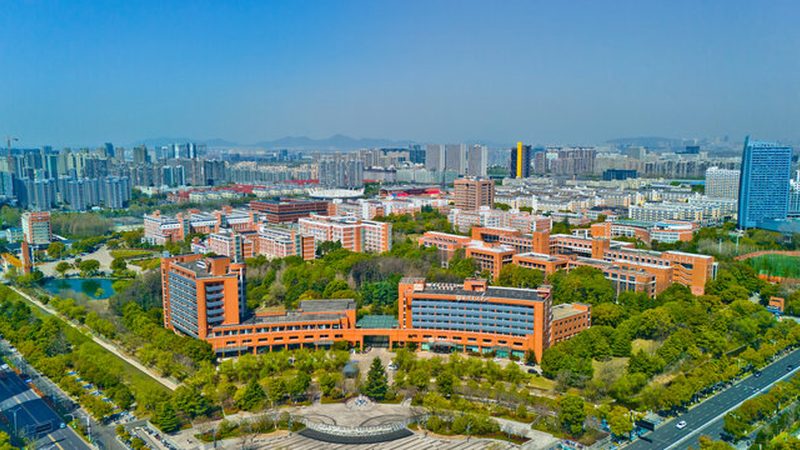 电子元件行业：揭秘十大品牌背后的实力与选择