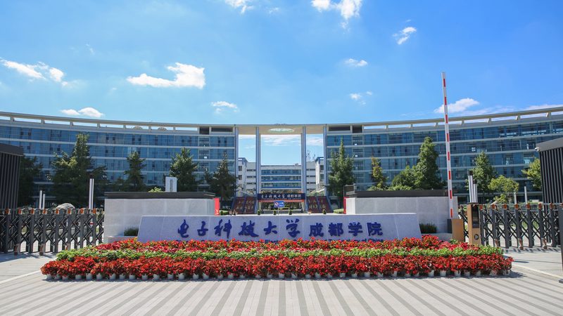 插件组装：揭秘优质生产厂家背后的技术秘密**