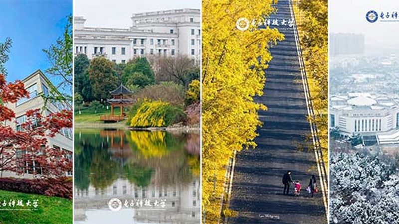 深圳市电子有限公司